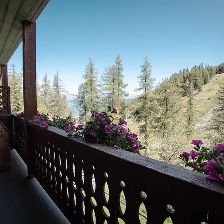 Pila- In Out- Yumi Apartment *